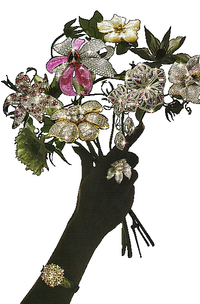 fleurs